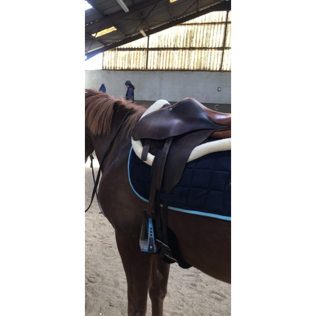 amortisseur equi-theme mouton