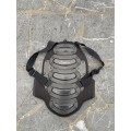 Coque dorsale