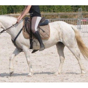 Tapis equithème brindille dressage