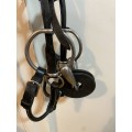 Bridon releveur avec mors