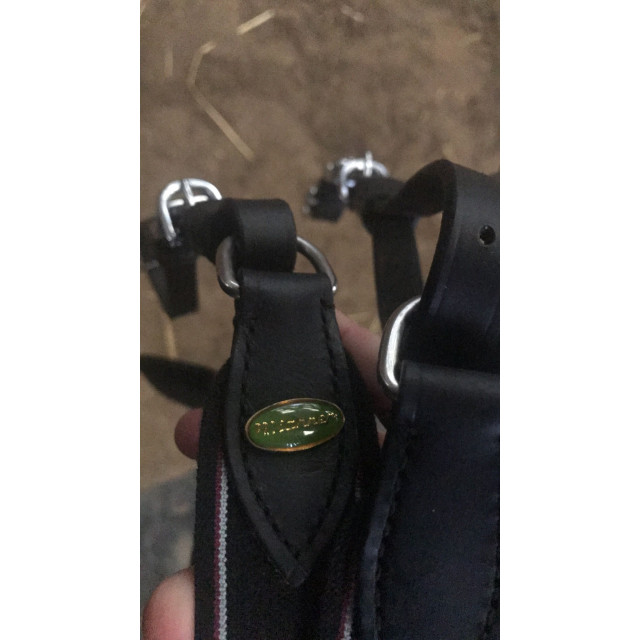 Collier de chasse protanner