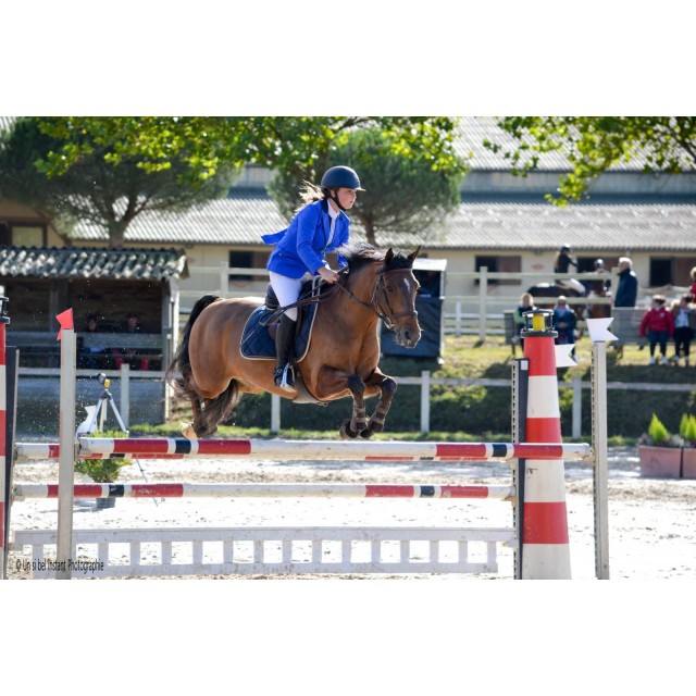 Veste JU&PA modèle ALIX taille 38 - bleu électrique col bleu marine