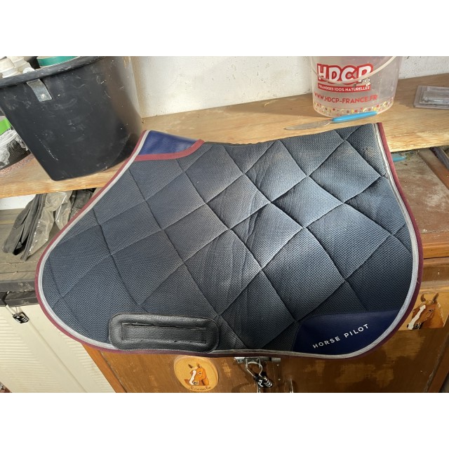 Tapis horse pilot