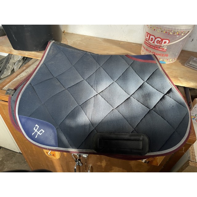 Tapis horse pilot