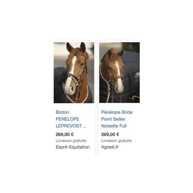 Bridon Penelope leprevost taille poney havane