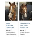 Bridon Penelope leprevost taille poney havane