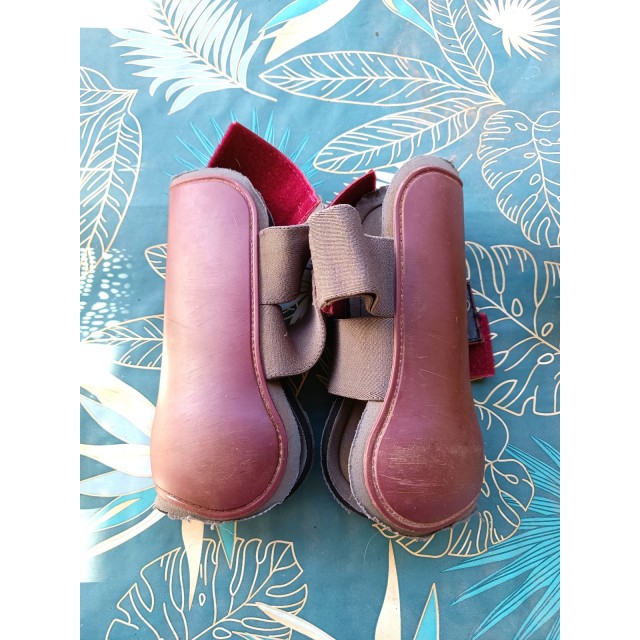 Paires de protections Norton cheval bordeaux / gris