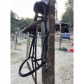 Filet HFI Taille Cheval Marron