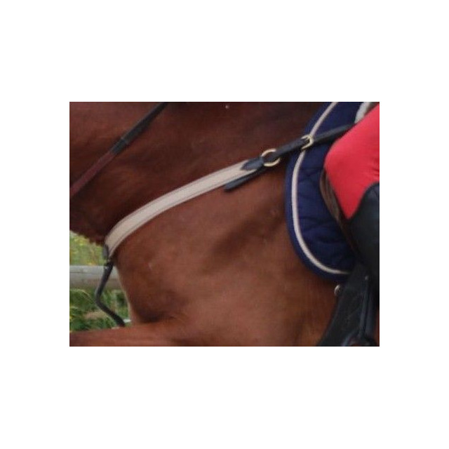 Collier de chasse Time Rider