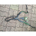 Collier de chasse Devoucoux