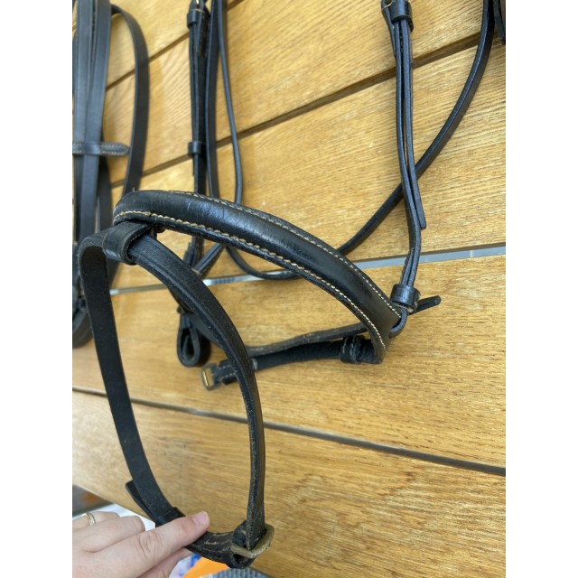 Bridon classique + rênes