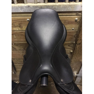 Selle mixte GBS - 2016