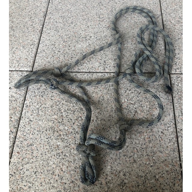 Licol éthologique - Bleu