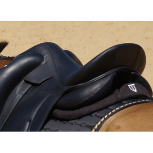 Amortisseur winderen dressage