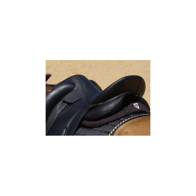 Amortisseur winderen dressage