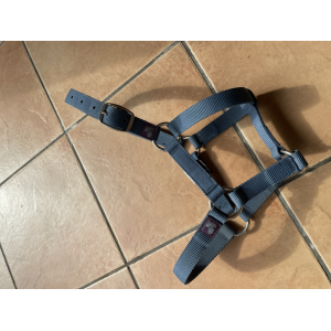 Licol petit poney / shetland