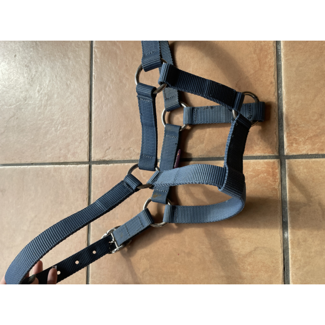 Licol petit poney / shetland