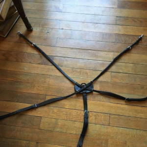 collier de chasse, bricole Dyon