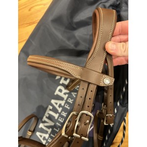 Filet + rênes Antarès