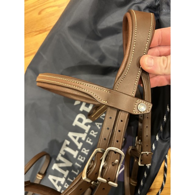 Filet + rênes Antarès