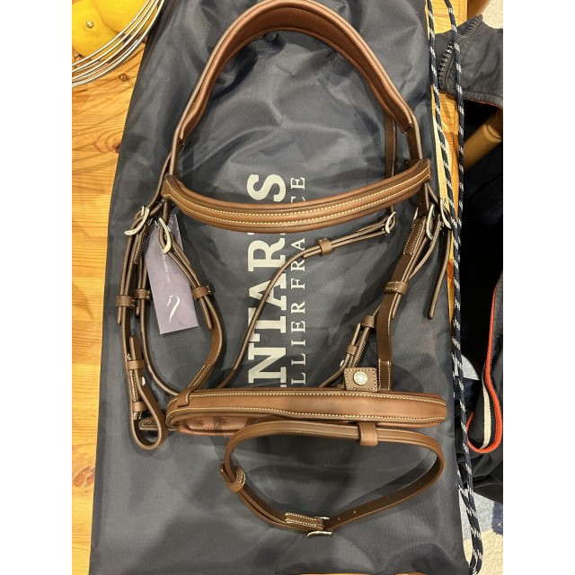 Filet + rênes Antarès