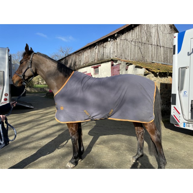Chemise Horseware 6.3