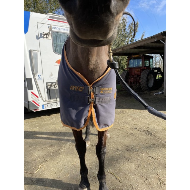 Chemise Horseware 6.3