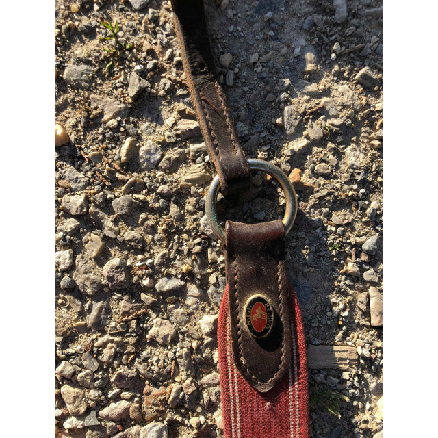 Collier de chasse HFi