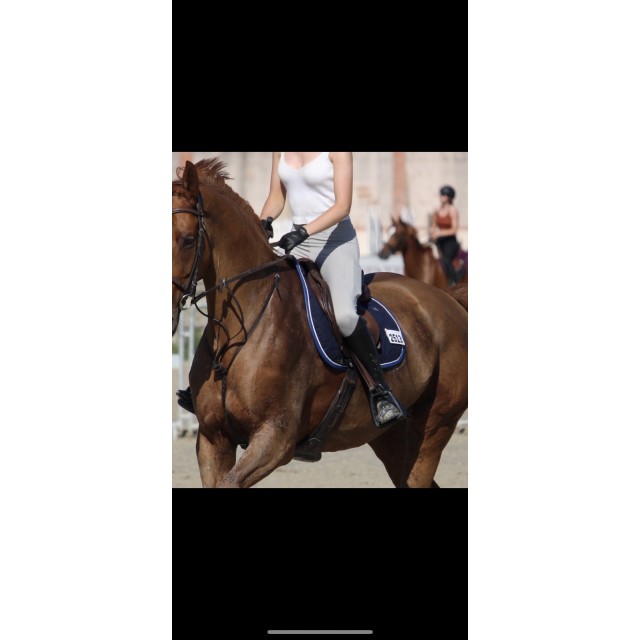 Legging d’équitation Wearepomme