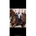 Legging d’équitation Wearepomme