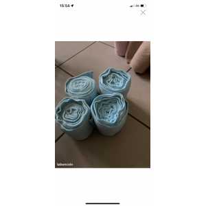 Bande polaire cheval