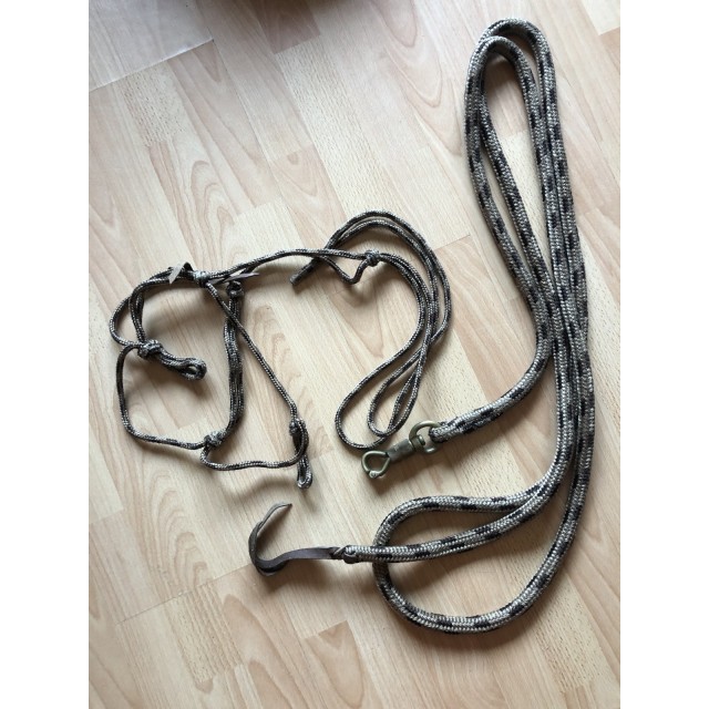 Licol et Longe éthologique