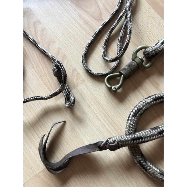 Licol et Longe éthologique
