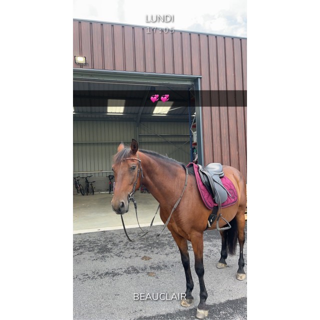 ensemble tapis/bonnet harcour