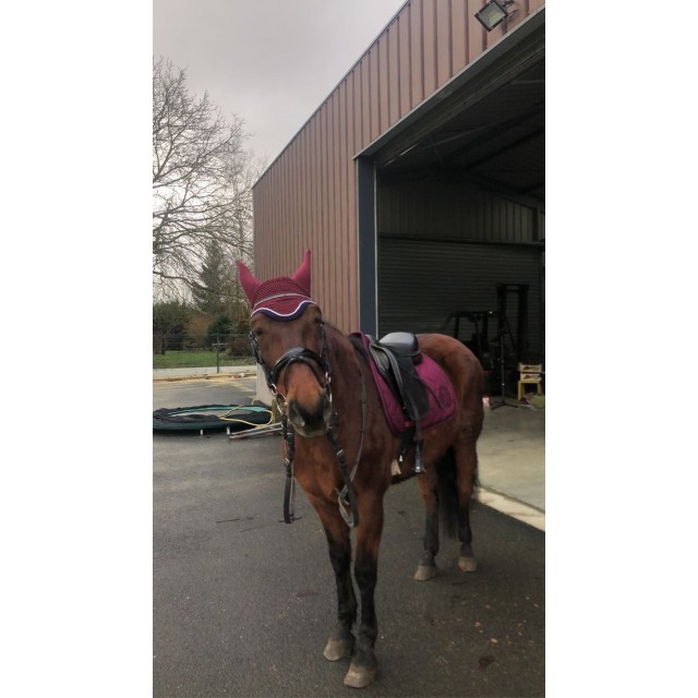 ensemble tapis/bonnet harcour