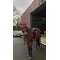 ensemble tapis/bonnet harcour