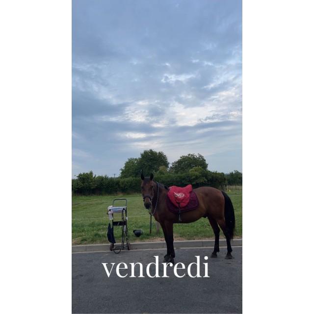 ensemble tapis/bonnet harcour