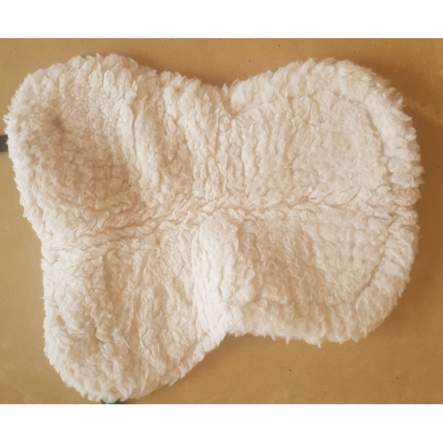 Amortisseur Showmaster