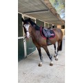 À vendre CWD mademoiselle