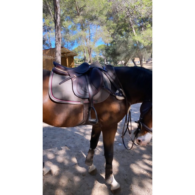 À vendre CWD mademoiselle