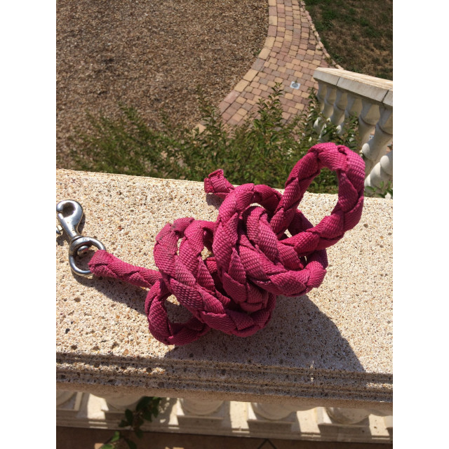 Licol rose Fouganza réglable taille poney/cheval