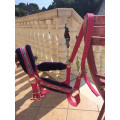 Licol rose Fouganza réglable taille poney/cheval