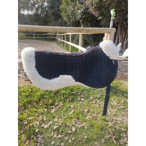 Ammortisseur le mieux pro sorb