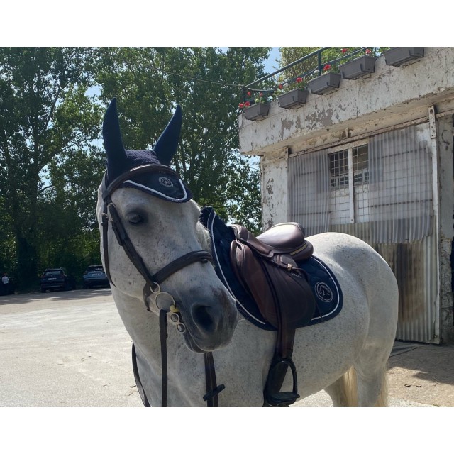 Tapis bleu equipassion