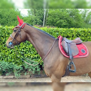 Tapis vizir rouge equipassion