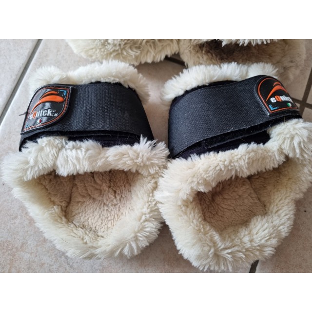 Ensemble protection equick