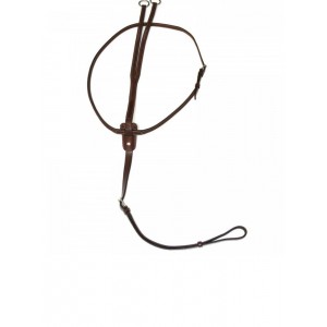 Martingale Antares taille 2