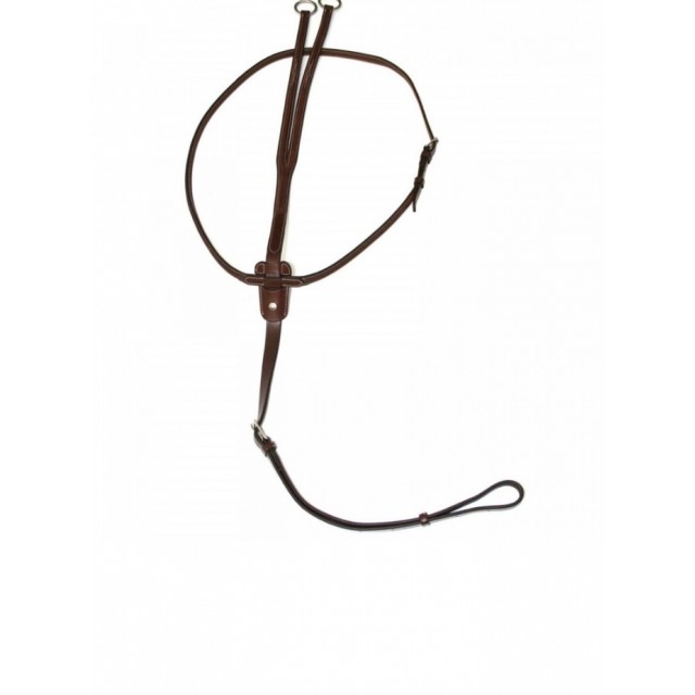 Martingale Antares taille 2