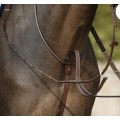 Martingale Antares taille 2