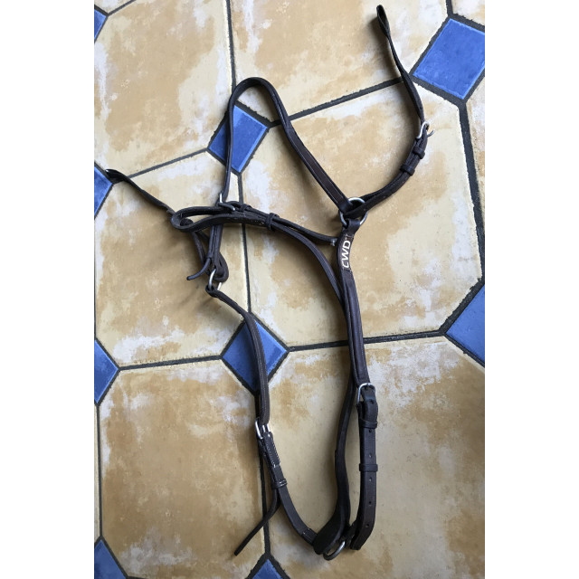 Collier de Chasse CWD